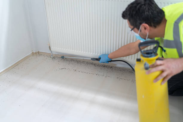 Best Pest Control Near Me  in Brownville, NJ